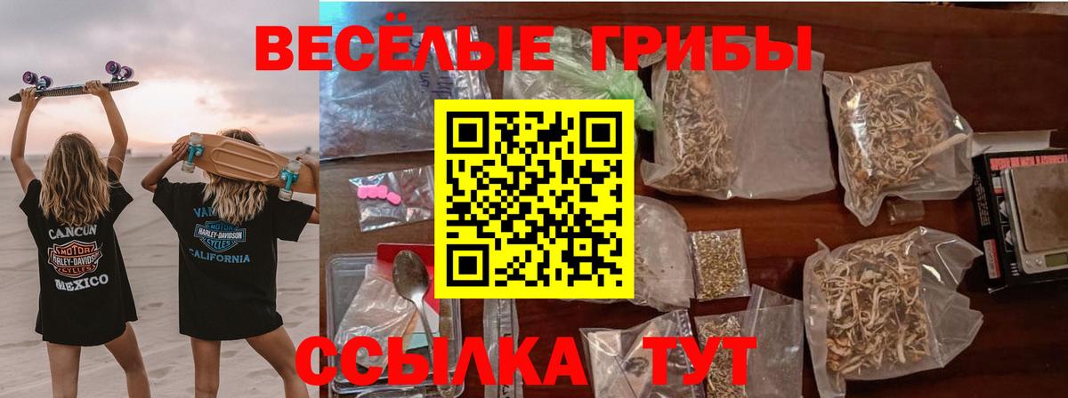 Шебекино  Псилоцибиновые грибы Psilocybine cubensis  цена наркотик  Вход с VPN  Псилоцибиновые грибы Magic Shrooms 